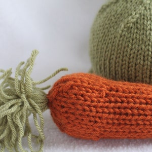 Knit hat with carrot prop for PHOTOGRAPHERS or toy. Sizes newborn to big kid available. image 2