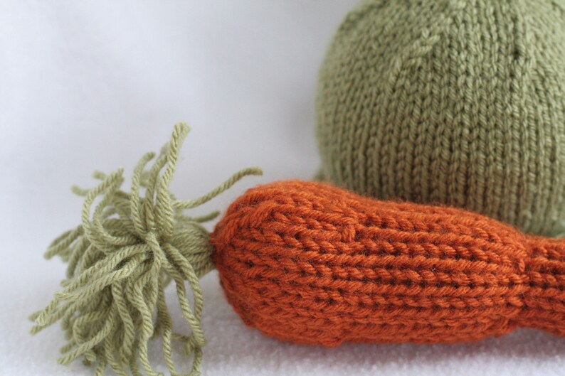Knit hat with carrot prop for PHOTOGRAPHERS or toy. Sizes newborn to big kid available. image 2