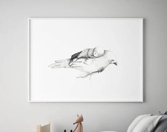 Nursery bird art, nursery decor boy, black and white nursery, art for boys room, black and white nursery wall art, boy nursery art