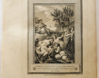 1775 Myrrha and Adonis, Eisen Walker Copper-Plate Engraving. "Myrrha . . . is deliver'd of Adonis, and afterwards Metamorphoses into a Tree"