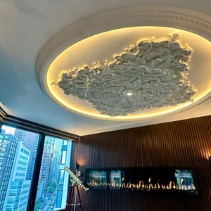 May include: A modern living room featuring a decorative ceiling medallion, a fireplace, and a telescope. The ceiling medallion is white and has a floral design. The fireplace is black and has a contemporary design. The telescope is made of brass and has a wooden tripod.