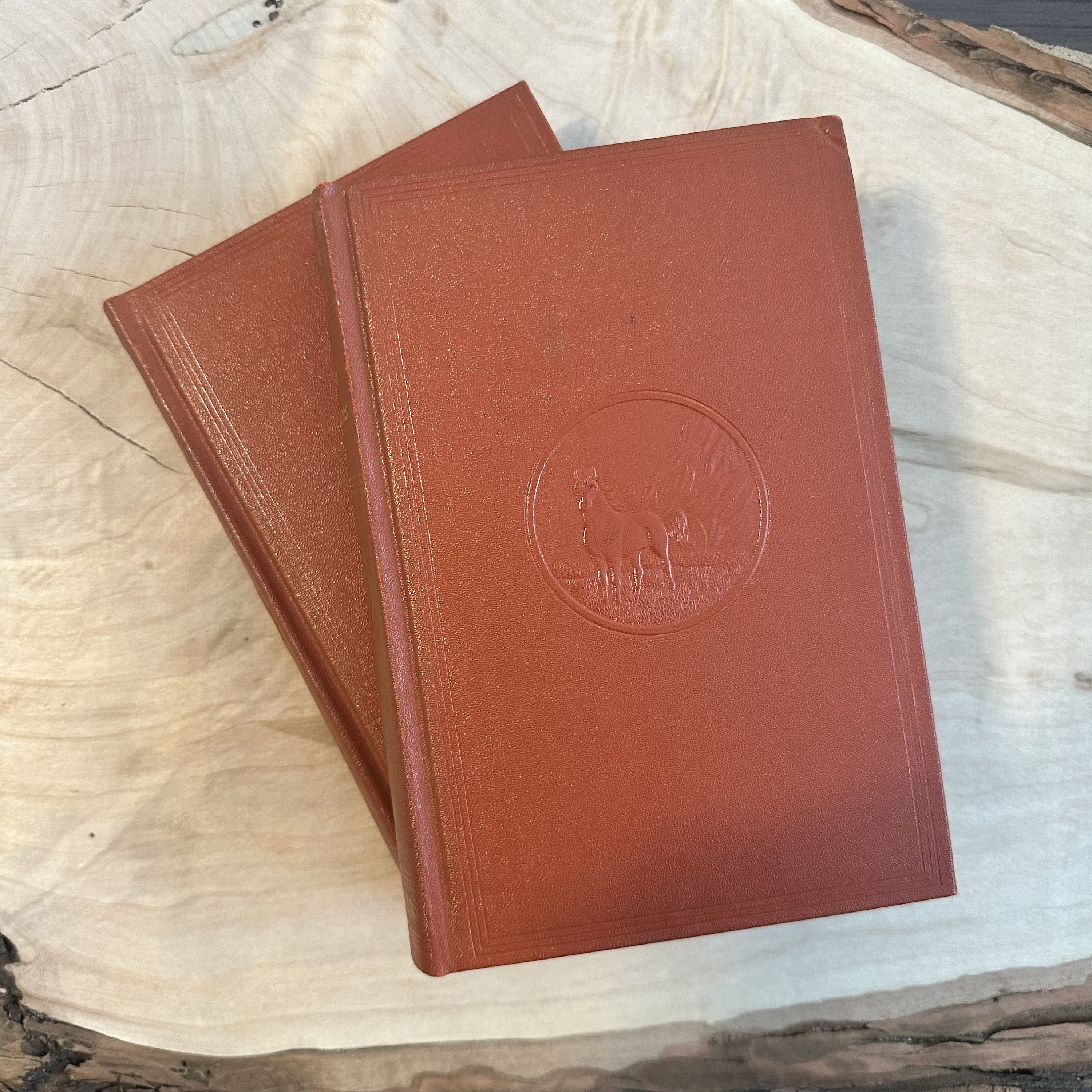 Set of 2 Books by Zane Grey | Twin Sombreros | Majesty's Rancho | Old Books for Reading and Decoration