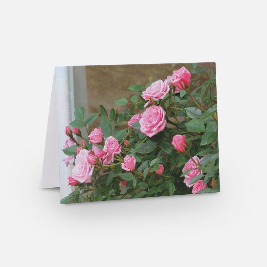 Set of 7 Pink Roses Blank Notecards With Envelopes - Etsy