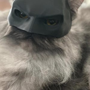 Bat Cat! Cat mask (1 size fits most) image 4