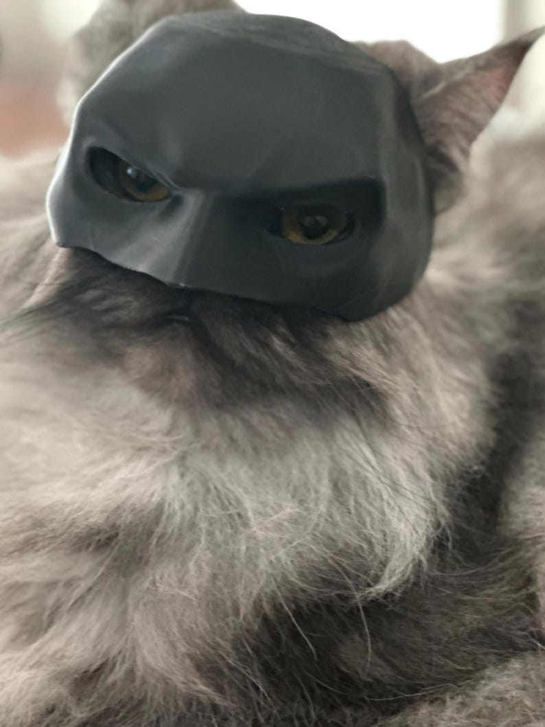 Bat Cat! Cat mask (1 size fits most) image 4