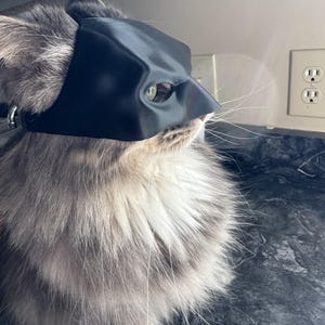 Bat Cat! Cat mask (1 size fits most) image 3