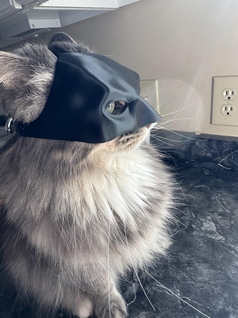Bat Cat! Cat mask (1 size fits most) image 3