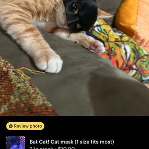 Bat Cat! Cat mask (1 size fits most) image 2