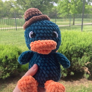Detective Platypus