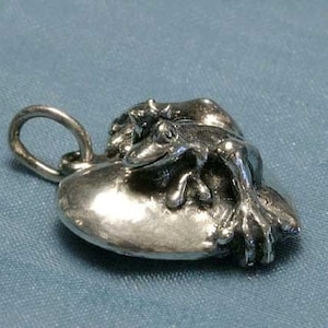 May include: A silver charm in the shape of a heart with a frog sitting on top. The frog is detailed with a textured surface and has a small star on its head.
