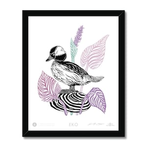 EKO Bufflehead Duck Framed Print