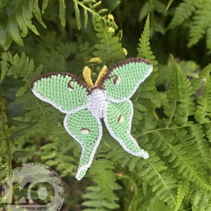 PATTERN Crochet Luna Moth