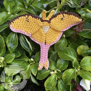 PATTERN Crochet Chinese Moon Moth