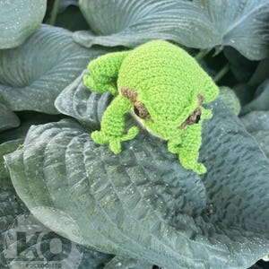 Op de afbeelding: Een handgemaakte groene gehaakte kikker met bruine accenten, rustend op een groot, getextureerd groen blad. De kikker heeft gedetailleerde kenmerken en is gepositioneerd alsof hij zit. De afbeelding is goed belicht en benadrukt de textuur van het haakwerk en het blad.