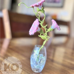 PATTERN Crochet Morning Glory