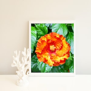 Arte de pared de hibisco amarillo y naranja, galería de arte de flores con hibisco impresionante, impresión descargable para decoración del hogar, póster ilustrativo
