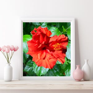 Arte de pared de hibisco amarillo y naranja, galería de arte de flores con hibisco impresionante, impresión descargable para decoración del hogar, póster ilustrativo