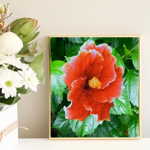 Arte de pared de hibisco naranja y blanco, arte de galería de flores, impresiones florales descargables para decoración del hogar, póster ilustrativo