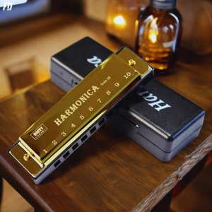Harmonica papa avec étui - Harmonica diatonique pour débutant, cadeau musical pour instrument, orgue à bouche, accordéon pour lui, mari, cadeau pour la fête des pères