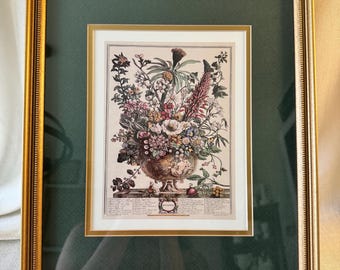 Puede incluir: Lámina botánica enmarcada con una detallada ilustración de un arreglo floral en una urna decorativa. La lámina está enmarcada en un marco dorado, con un passe-partout verde. El marco está sostenido por un caballete dorado.