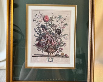 Robert Furber’s 12 months of flowers February frame print