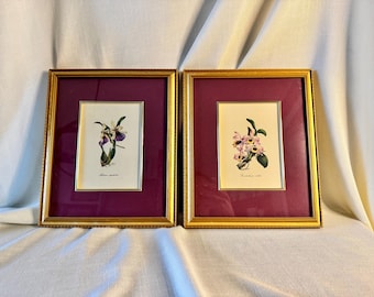 Vintage Orchid Wall Art