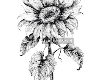 Summer Sunflower / print of original ink illustration
