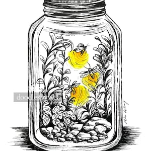 A Jarful of Light / print of original ink and watercolor illustration