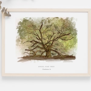 Angel Oak Park - Art Print