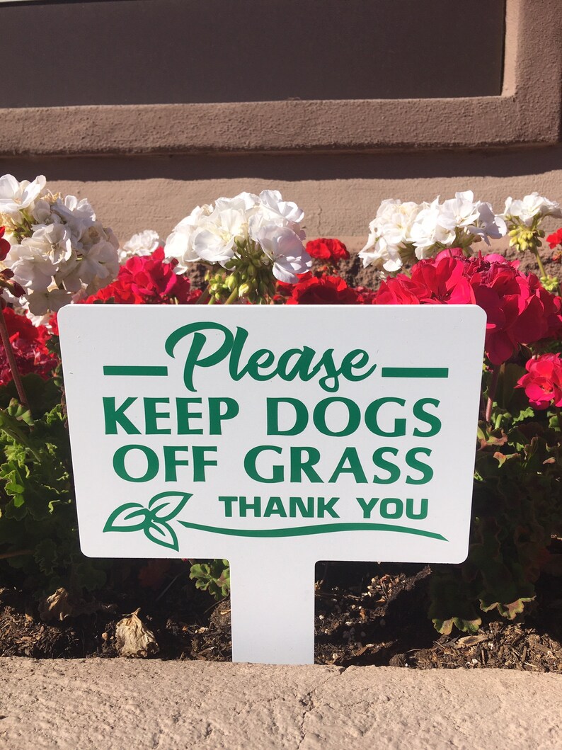 Stunning Tips About How To Keep Dogs Off The Garden Waterask