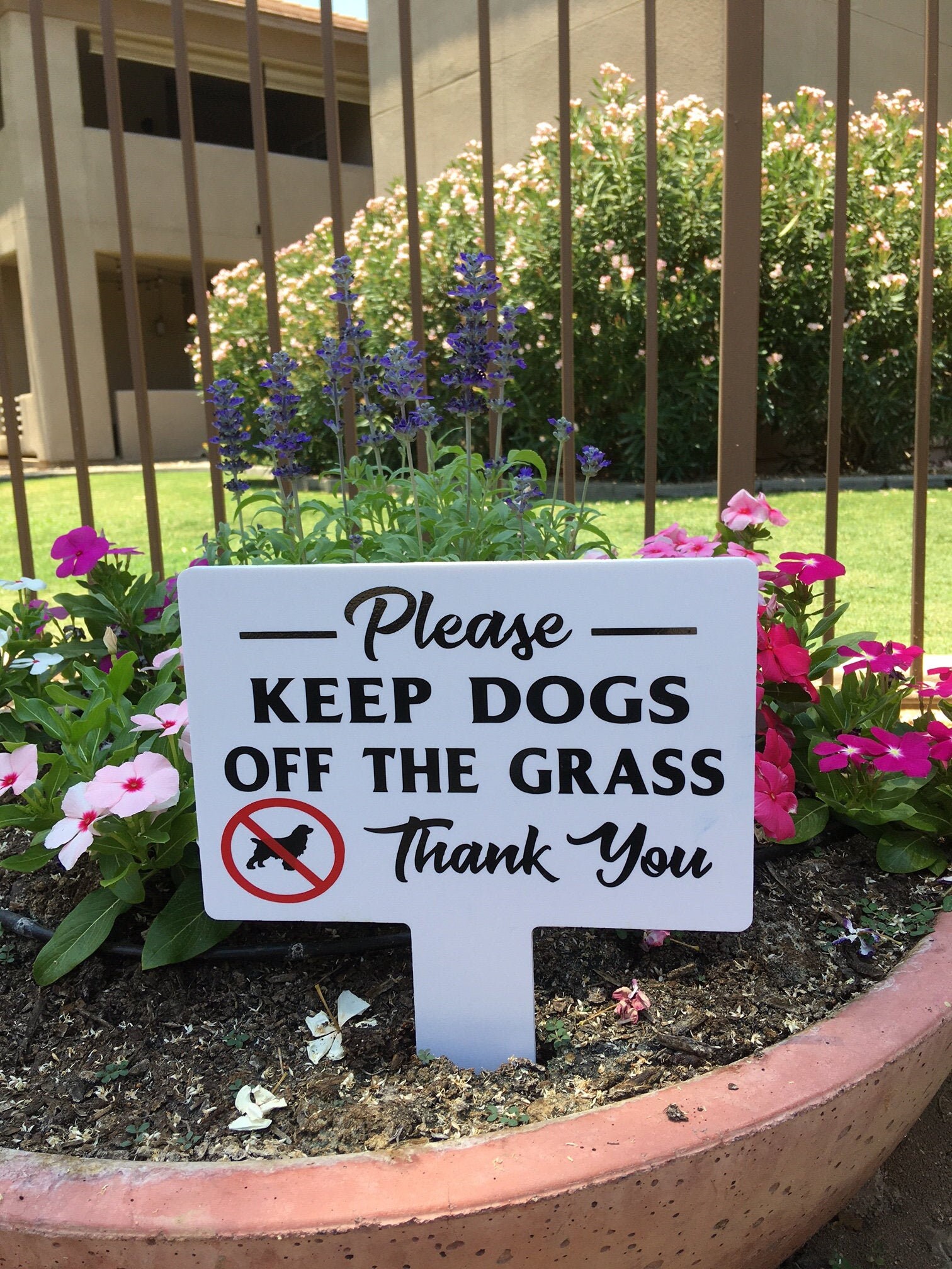 How To Keep Dogs Off Garden