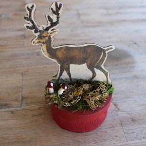 Gift Box (holiday) Deer