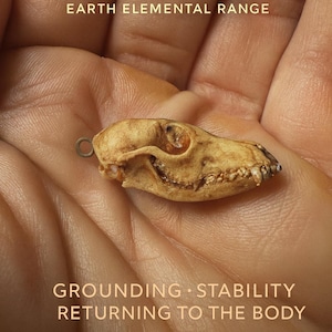 Könnte beinhalten: Ein kleiner, detaillierter Schädel eines Tieres, wahrscheinlich eines Hundes, in Braun- und Beigetönen. Der Schädel wird in einer Hand gehalten, mit den Worten "EARTHEN" und "EARTH ELEMENTAL RANGE" darüber und darunter. Der Text "GROUNDING STABILITY RETURNING TO THE BODY" ist ebenfalls sichtbar.