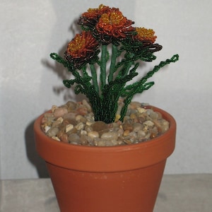 French beaded flowers marigold planted in clay pot