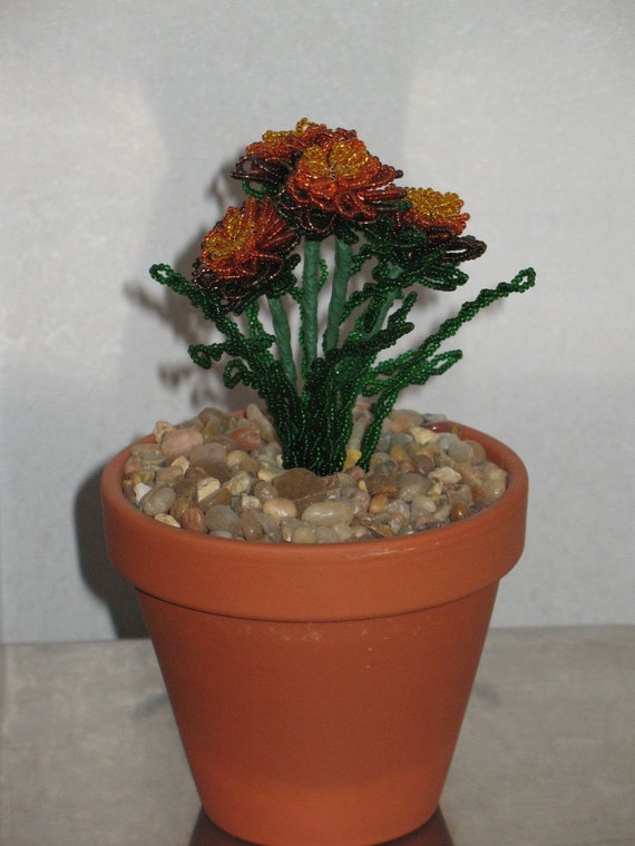 Francés de cuentas caléndula flores plantado en maceta de  Etsy