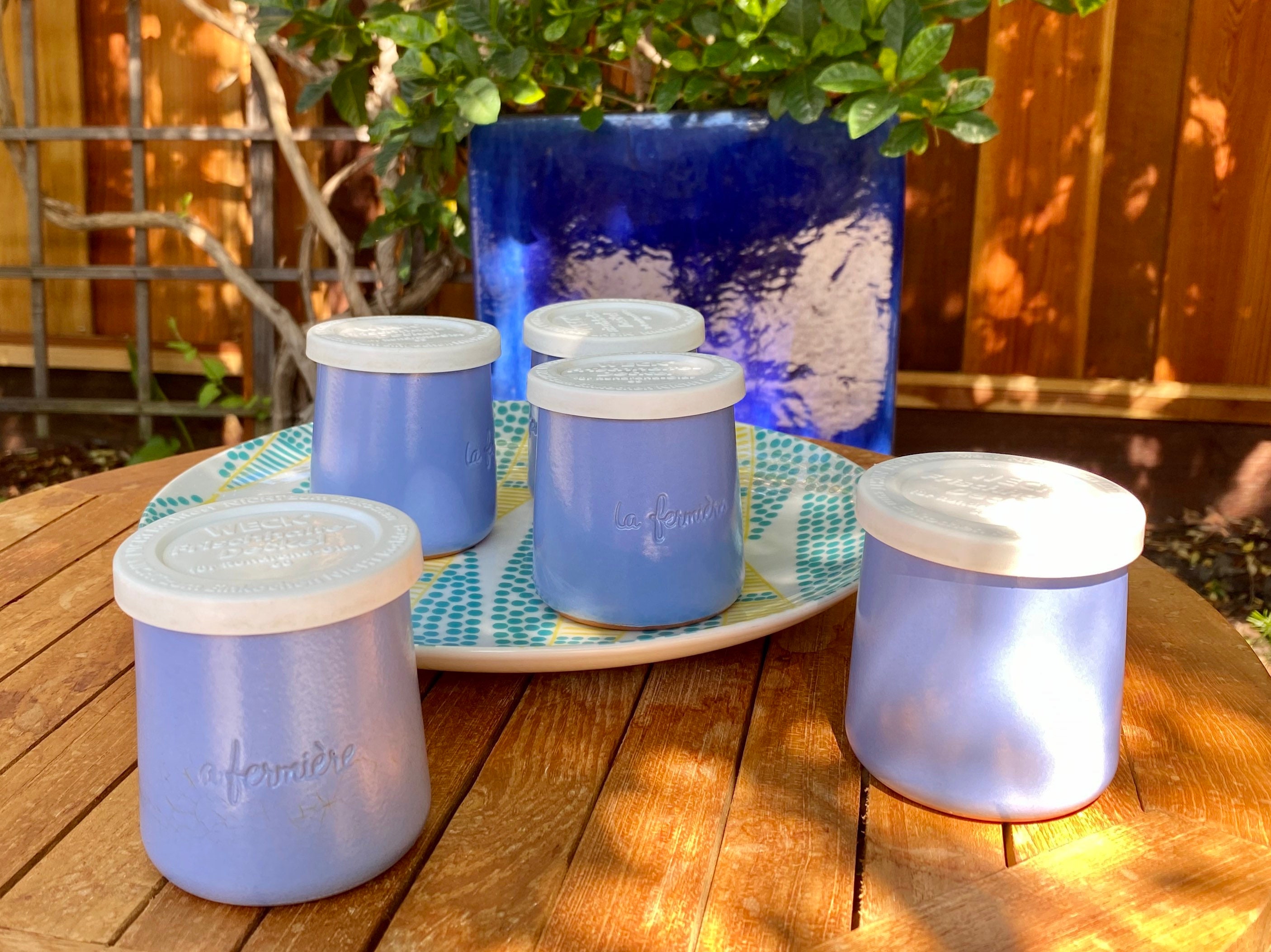 Set of 5 yogurt jars with match lid Etsy