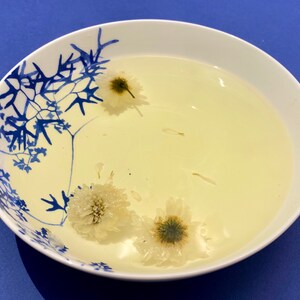 Chrysanthemum flower tea natural herbal tizane for calming, relaxing and sleeping
