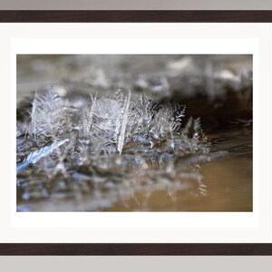 Macro-ijsranken Art Print, winter natuurfotografie