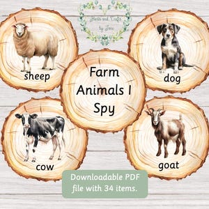 Farm Animals Flash Cards Farm Animals Montessori Farm Animals Instant Download Old MacDonald Flash Cards