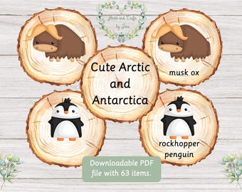 Arctic & Antarctica Winter Flashcards Learning Set (Digital Download)