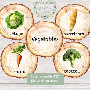 Cartes éclair sur les légumes Cartes éclair Montessori sur les légumes Alimentation saine Cartes éclair Cinq par jour Cartes éclair du printemps Étude de l'unité sur les légumes