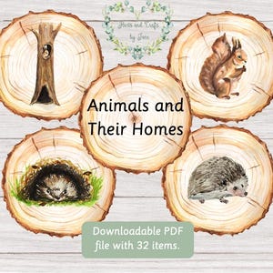 Cartes Flash sur les animaux et leur maison Cartes Flash sur la nature Cartes Flash sur le jardin