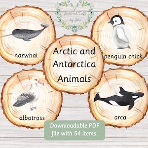 Cartões de Memória com Animais do Ártico e da Antártica: Livro de Atividades Montessori de Inverno (Flashcards em PDF) Download Digital