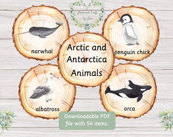 Arctic & Antarctica Animals Flashcards: Montessori Winter Busy Book (PDF Flashcards) Digital Download Winter Flashcards