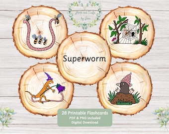 May include: Five circular wood slice illustrations featuring colorful cartoon characters including a pink worm with bees, a spider in a web, a lizard in a purple hat, a mole in a pink hat, and the text Superworm and 28 Printable Flashcards.