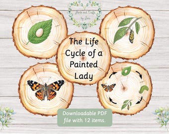 Life Cycle of a Butterfly Butterfly Unit Study