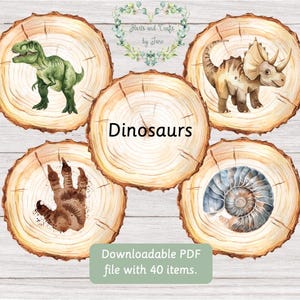 Dinosaurs Dinosaur Flashcards Printable Dinosaur Flashcards  Wood Log Slices Busy Book Montessori