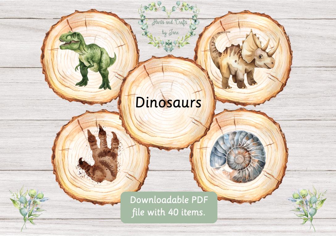 Dinosaurier Karteikarten zum Ausdrucken Dinosaurier Karteikarten Holzscheit Beleges Buch Montessori