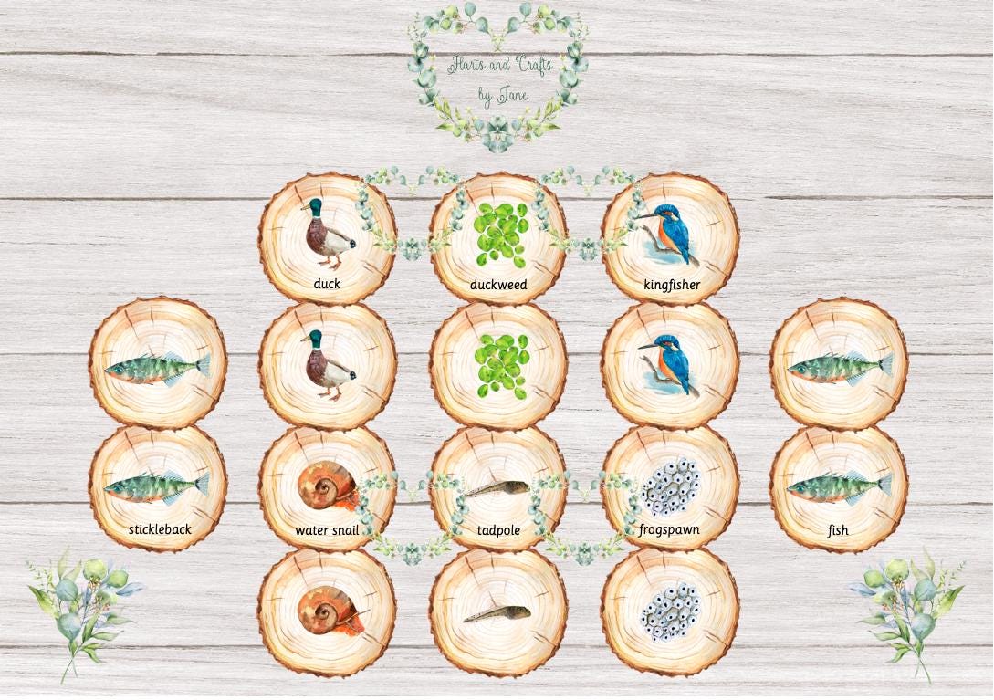 Pond Dipping Flash Cards: Nature I Spy Game (PDF Download) - Etsy