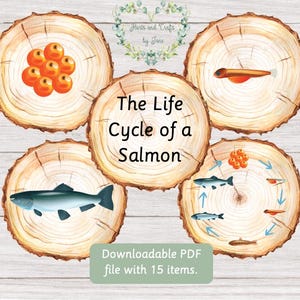 May include: A printable life cycle of a salmon diagram. The diagram is made up of five circular images with a wooden background. The images show the stages of a salmon's life cycle, from eggs to adult fish. The text "The Life Cycle of a Salmon" is written in the center of the diagram.